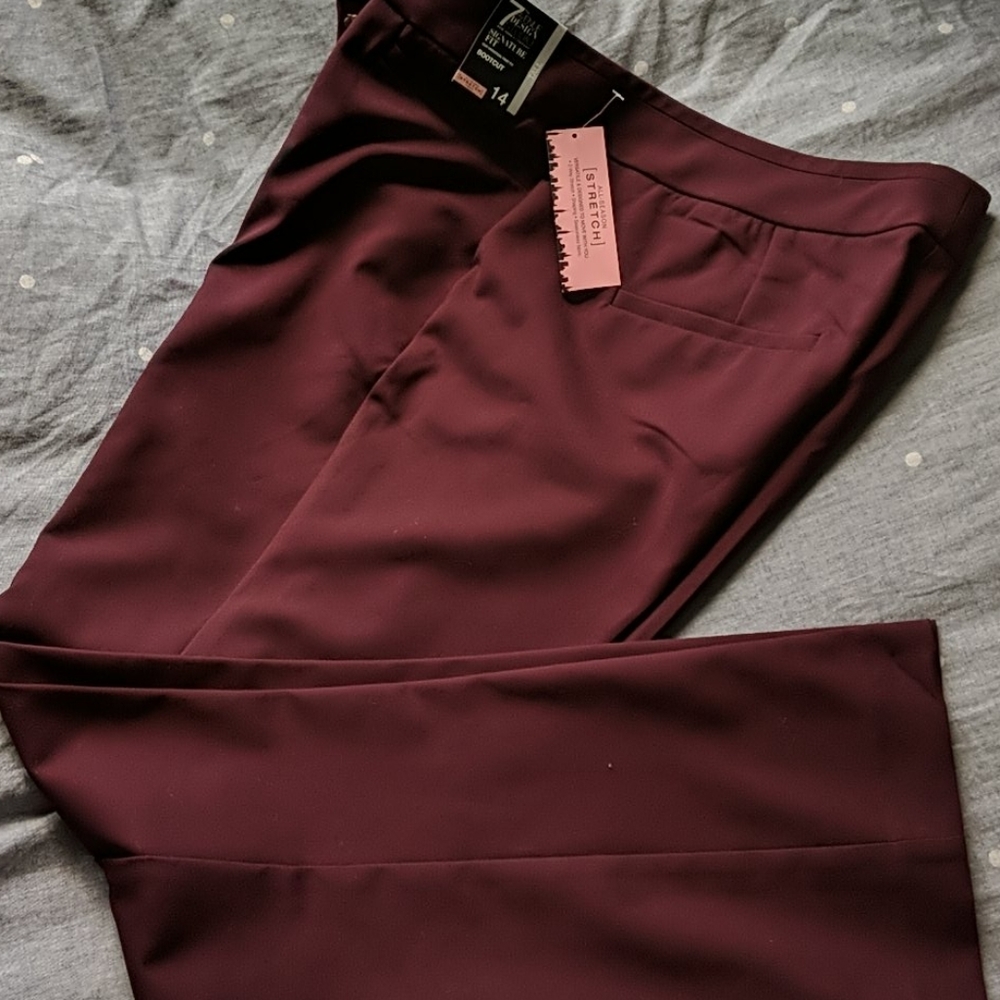 Burgundy bootcut dress pants